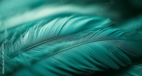  Feathers in motion, a symphony of nature's design © vivekFx