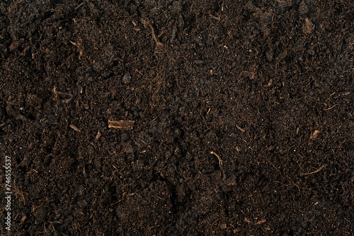 Canvas Print Texture of fertile soil as background, top view