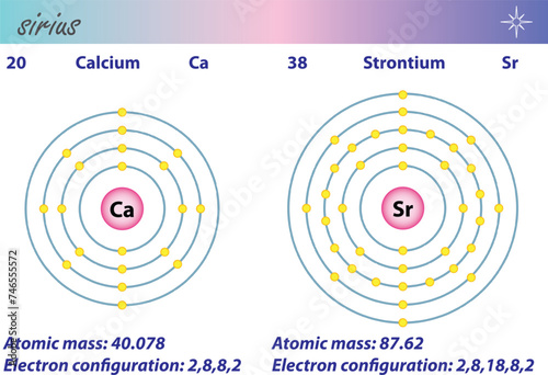 Diagram representation of the element calcium and strontium illustration