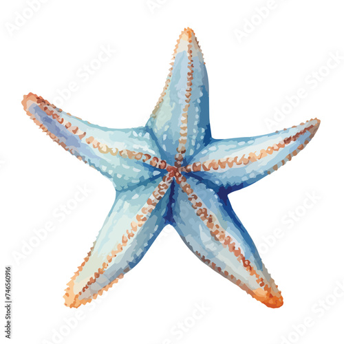 Watercolor Starfish Clipart  Isolated on White Background