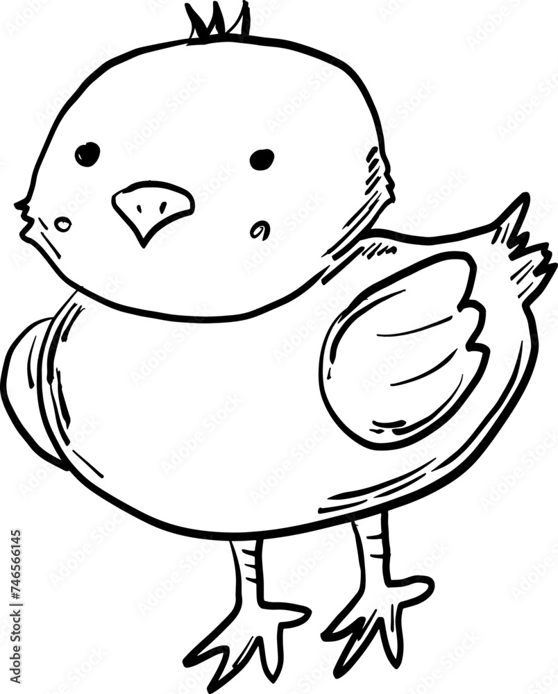 sketch chick hand drawn sketch chick hand drawn
