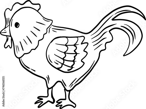 sketch chicken hand drawn