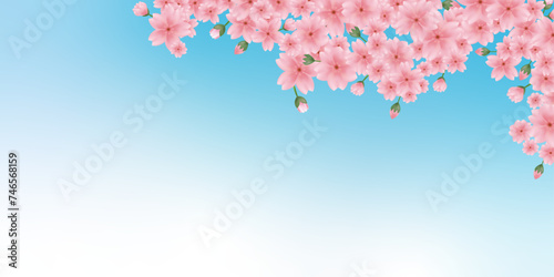 ピンクの桜の背景イラスト　春の背景