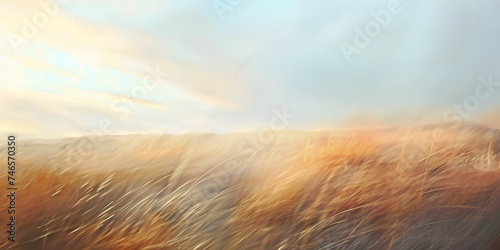Silhouette ,Country Field Landscape, Natural meadow grass slowly swayed by wind blow. The beautiful swaying grass field is relaxing & romantic. It waving along wind breeze. Windswept Fields Under a Dr