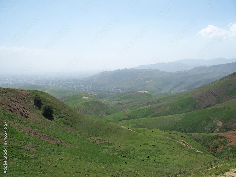 green hills from a height of