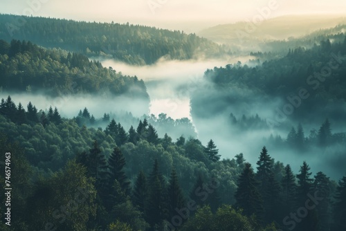 Generative AI image of Landscape of a forest valley with a river covered in fog in the morning