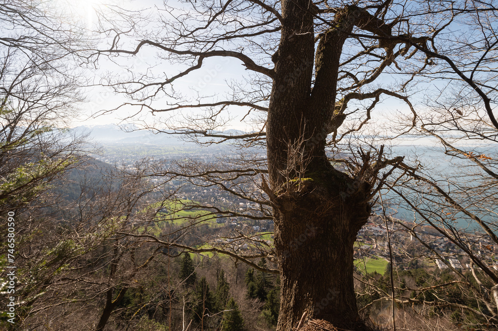Bregenz spring and Lake Constance from Mount Pfender Bregenz spring and Lake Constance from Mount Pfender