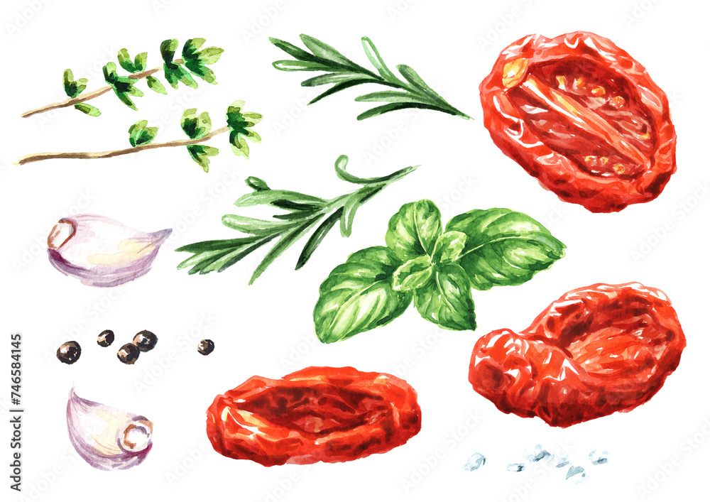 Dried tomatoes with herbs and spices set. Hand drawn watercolor illustration isolated on white background Dried tomatoes with herbs and spices set. Hand drawn watercolor illustration isolated on white background