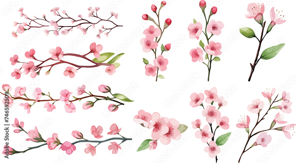 Set of Watercolor pink cherry blossoms blooming elements. Pink cherry green leaves branch, and stem isolated on light background. Suitable for decorative invitations, posters, or cards
