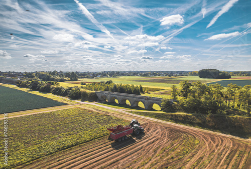 A lush farm field stretches as far as the eye can see, divided by rows of crops leading to a rustic bridge in the background that spans a gentle stream