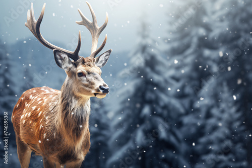 Deer on winter background