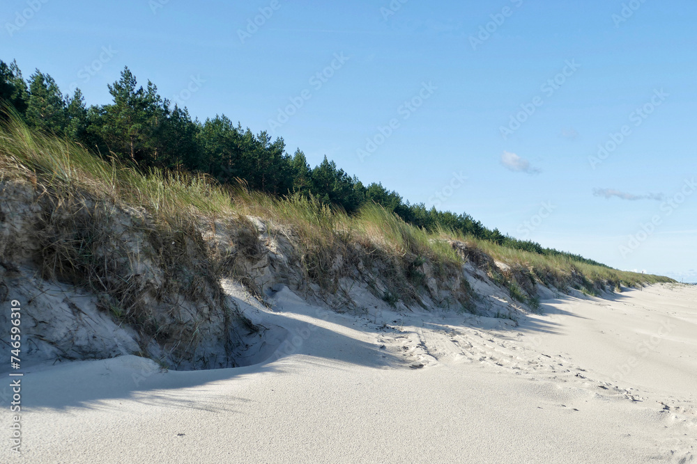 Sand dunes on beach at Choczewo, Poland Sand dunes on beach at Choczewo, Poland