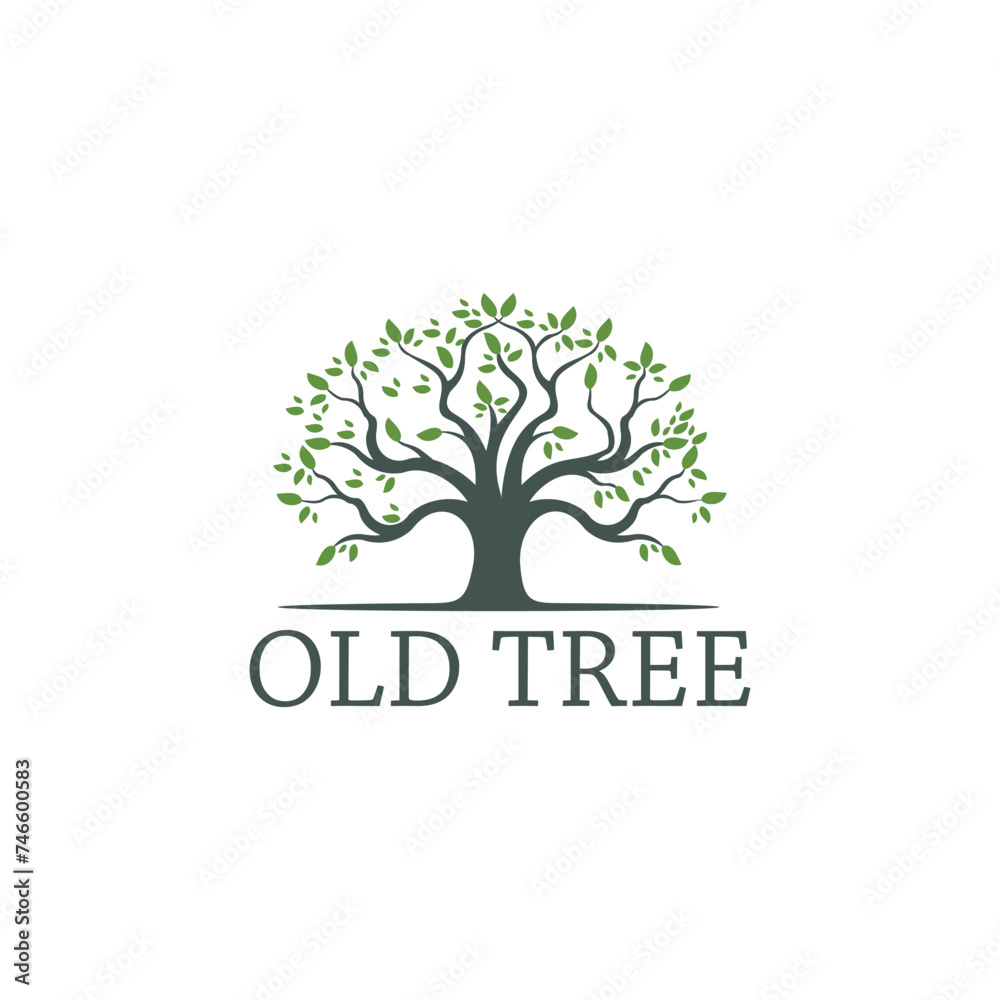 Obraz premium Old tree with leaves vector illustration logo design