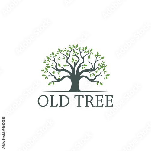 Old tree with leaves vector illustration logo design photo