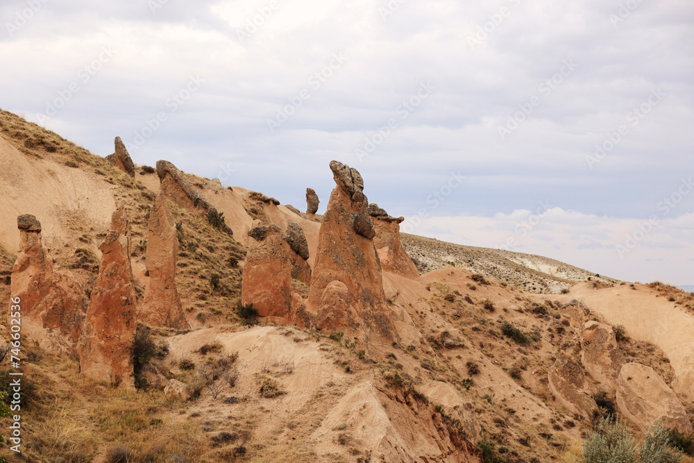 Fototapeta premium Rock Formation in the Devrent Valley in Cappadocia, Camel Valley, Turkey