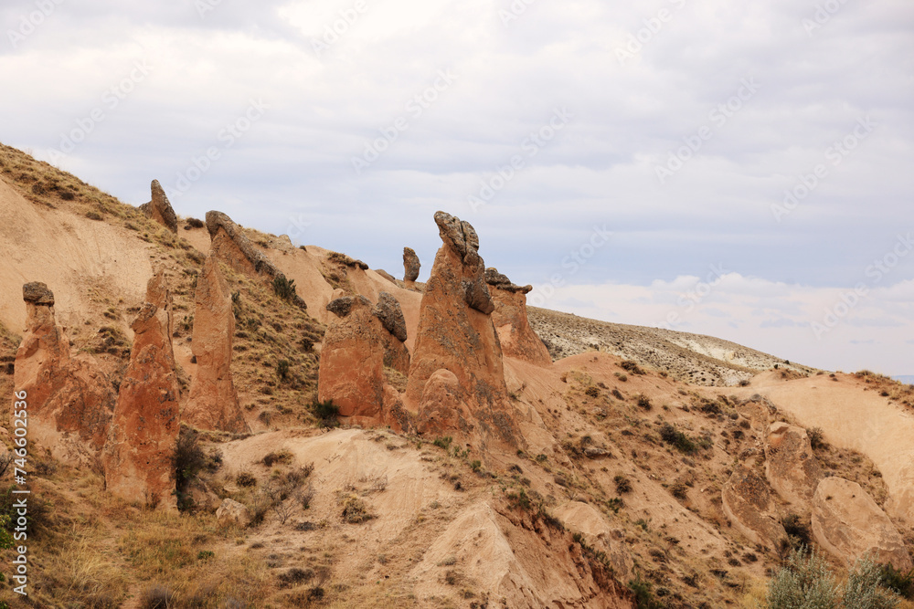 Rock Formation in the Devrent Valley in Cappadocia, Camel Valley, Turkey