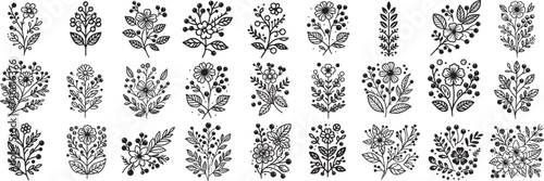 decorative collection of flowers and herbs