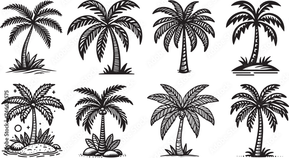 palm trees, ornamental vectors black and white colorless vectors
