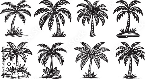 palm trees  ornamental vectors black and white colorless vectors 