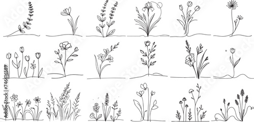 decorative flowers, collection set of single thin line drawn minimalistic doodle collection