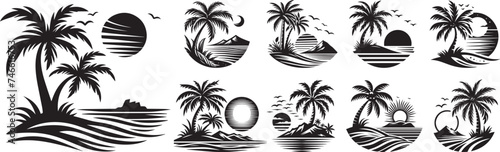palm trees in tropical scenery