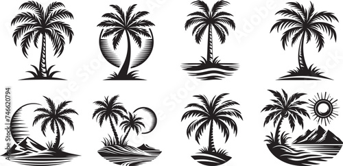palm trees on a tropical island, dream vacation photo