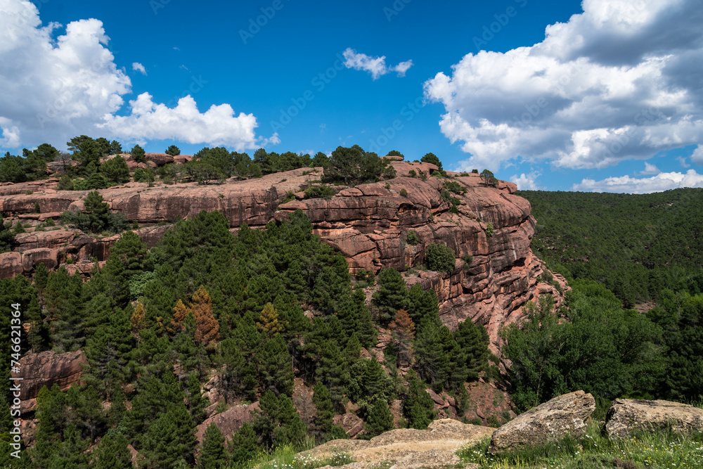 The reddish rock and the extensive green pine forest are prominent features in the Barranco del Cabrerizo, part of the Protected Landscape of the Pinares del Rodeno in Albarracín.