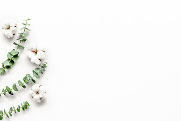 Flowers border with green eucalyptus branches and dry cotton flowers on white background top view copy space