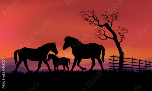 Horses silhouette in grass  meadow over sunset sky in forest landscape vector illustration background.
