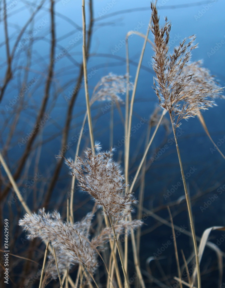 Fototapeta premium Klosterpark Lamspringe