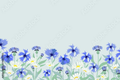 Cornflower background border frame.  German National flower emblem vector illustration. 