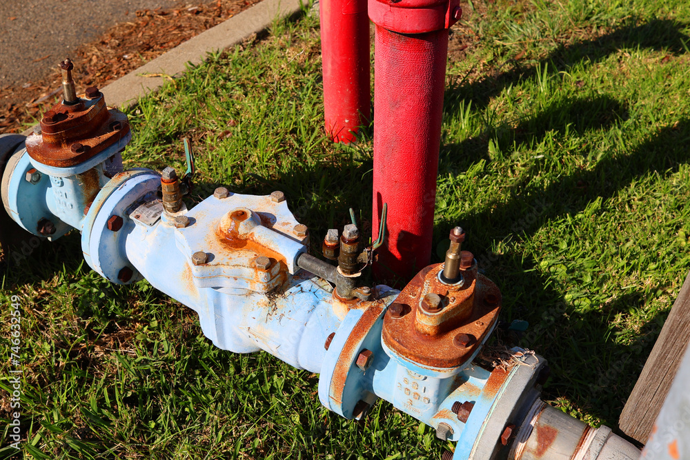 Closeup view of backflow preventers beside PIV and Pillar fire hydrant