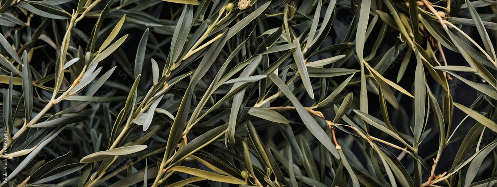 Abstract olive branch design for a classic and Mediterranean-inspired texture. Abstract olive branch design for a classic and Mediterranean-inspired texture.