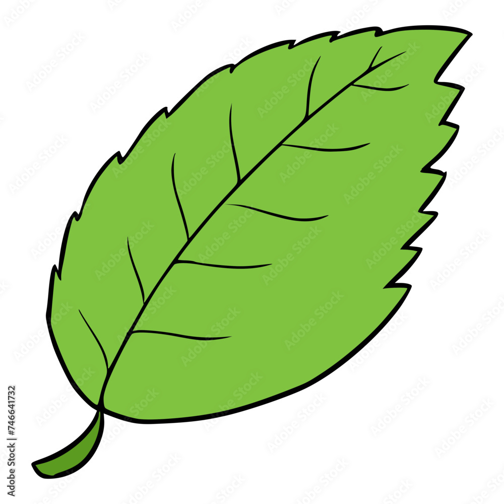 menthol leaf illustration hand drawn isolated vector menthol leaf illustration hand drawn isolated vector