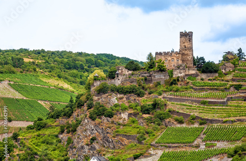 Castle Gutenfels, Kaub, Rhineland-Palatinate, Germany, Europe. photo