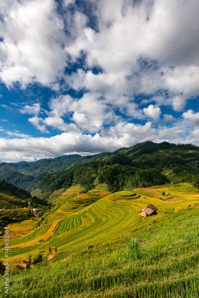 Obraz premium Rice fields on terraced of Mu Cang Chai, YenBai, Vietnam.