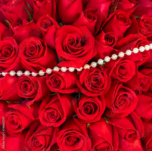 Fototapeta Naklejka Na Ścianę i Meble -  red rose background ,natural texture