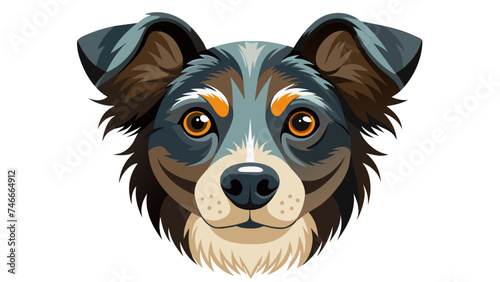 portrait of a dog. hairy dog.
