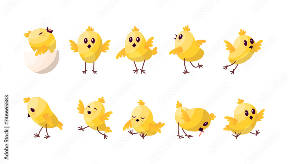 Cartoon Color Characters Cute Chicken Baby Set Concept Flat Design Style. Vector illustration of Mascot Little Bird