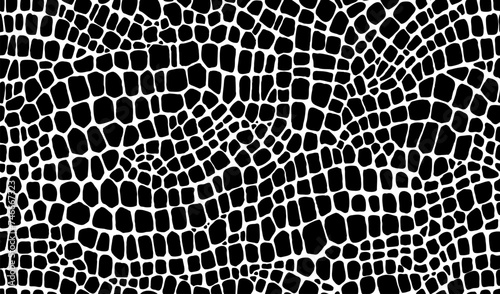 Crocodile, dinosaur and snake reptile skin pattern of animal leather, vector background. Abstract black and white crocodile or snake skin texture pattern of python, alligator or snakeskin lizard print photo