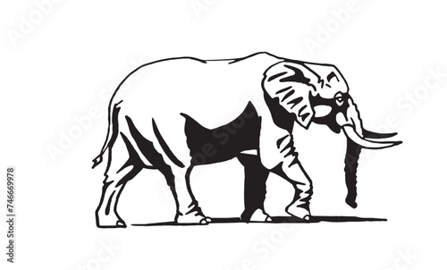 Graphical elephant walking on white background  vector illustration 