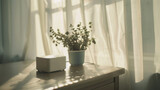 House plant on a table near the window