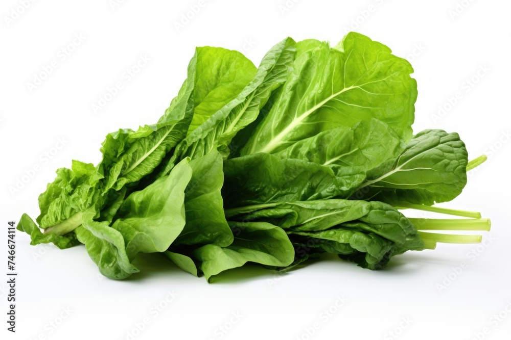 Crisp lettuce leaves on a clean white background, perfect for food or health-related designs - obrazy, fototapety, plakaty 