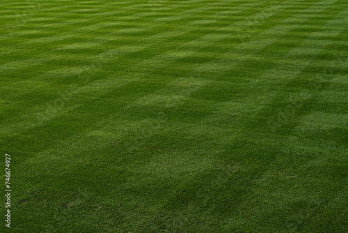 Baseball or Softball outfield is seen, mowed in a pattern before a game. photo