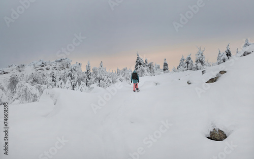 Polar expedition, traveler on snowshoes walks