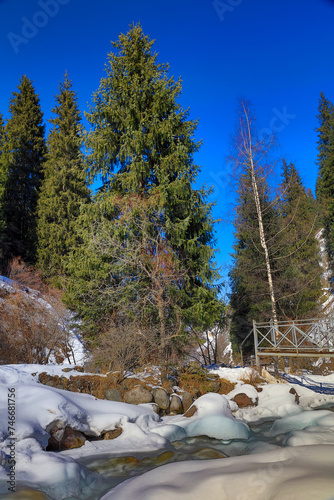 Winter landscape on mountain river