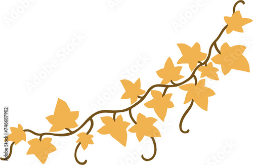 ivy plant drawing illustration.