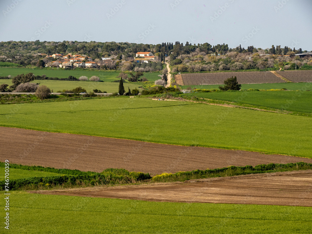 landscape with grass and fields, agricultural fields in the north of Israel. 