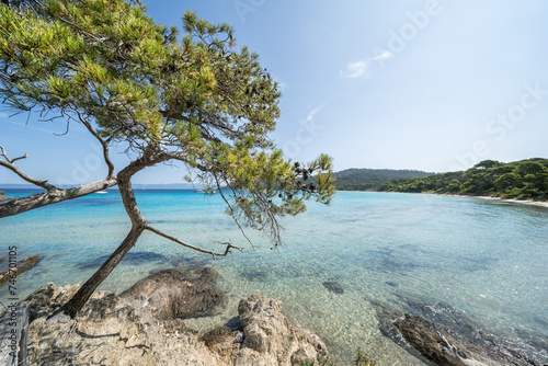 Quadro su tela Beautiful Notre Dame beach (Plage Notre-Dame) on Porquerolles island (l'île de P