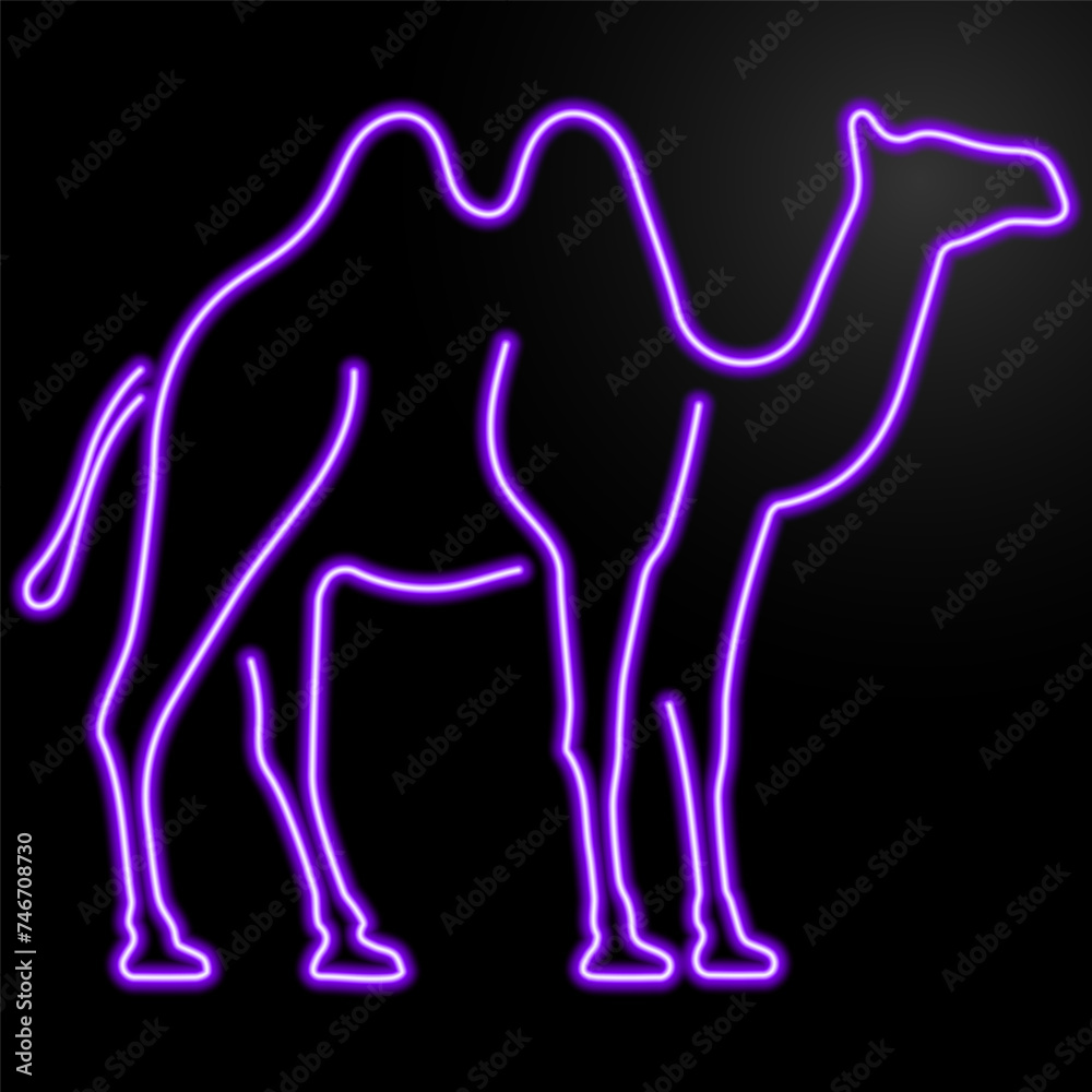 camel neon sign, modern glowing banner design, colorful modern design trend on black background. Vector illustration. camel neon sign, modern glowing banner design, colorful modern design trend on black background. Vector illustration.